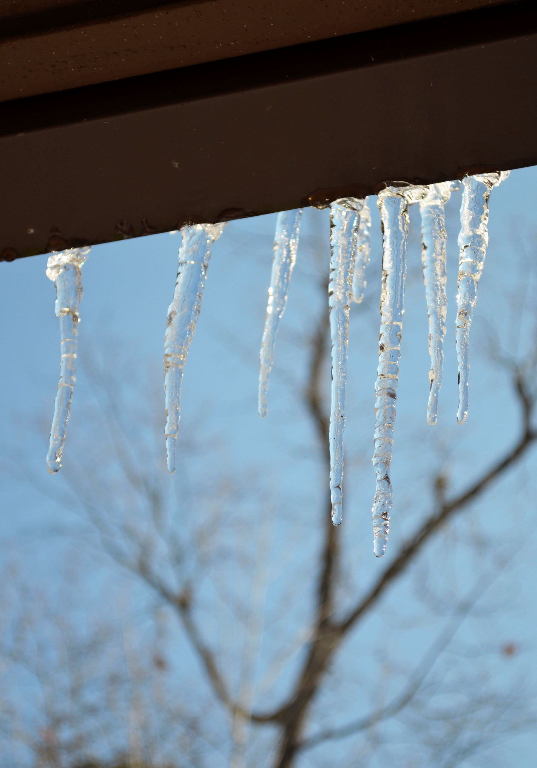 Real Icicles!